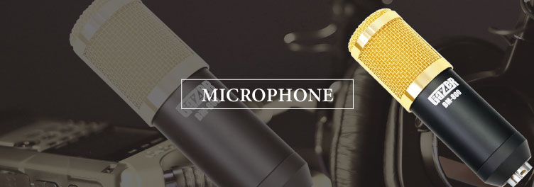 Microphones・マイクロフォン